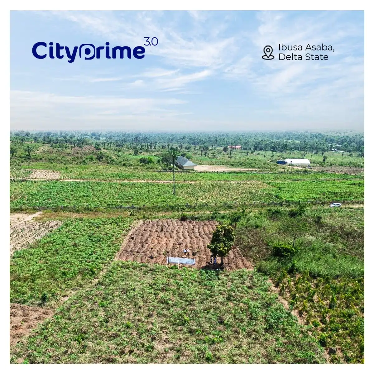 CITY PRIME ESTATE, IBUSA